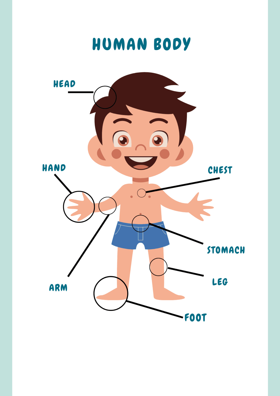 Partes del cuerpo humano en inglés para niños - UP Master